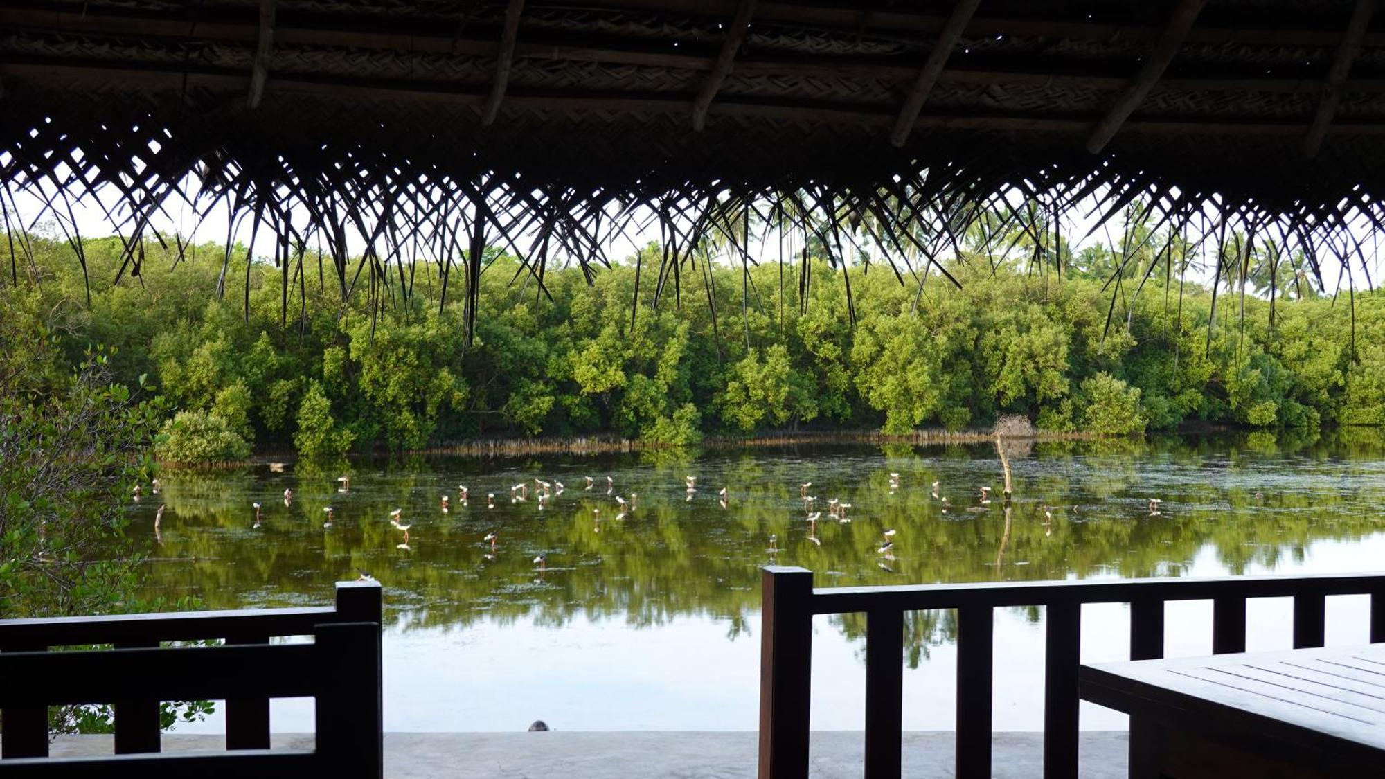 Salt Lake Cabanas & Restaurant Tangalle Εξωτερικό φωτογραφία