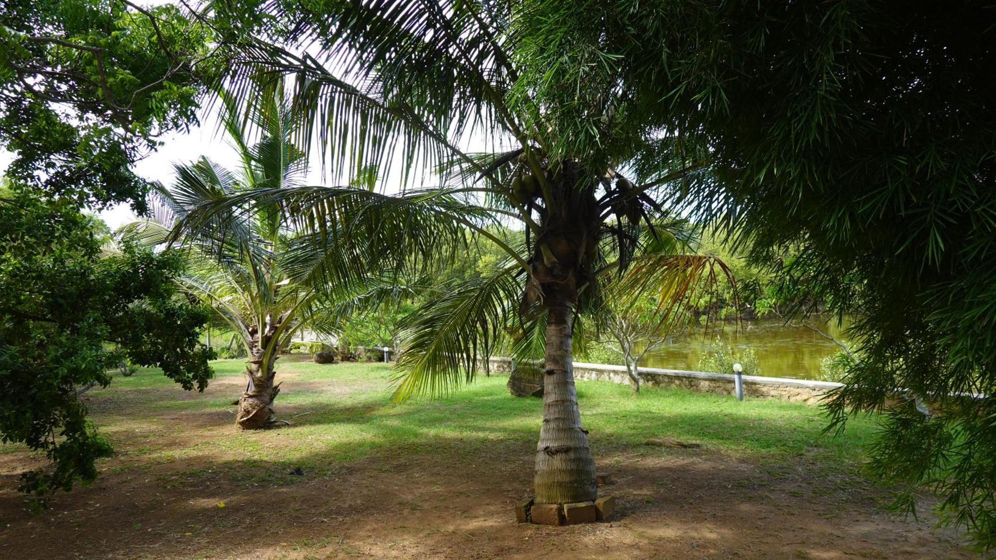 Salt Lake Cabanas & Restaurant Tangalle Εξωτερικό φωτογραφία